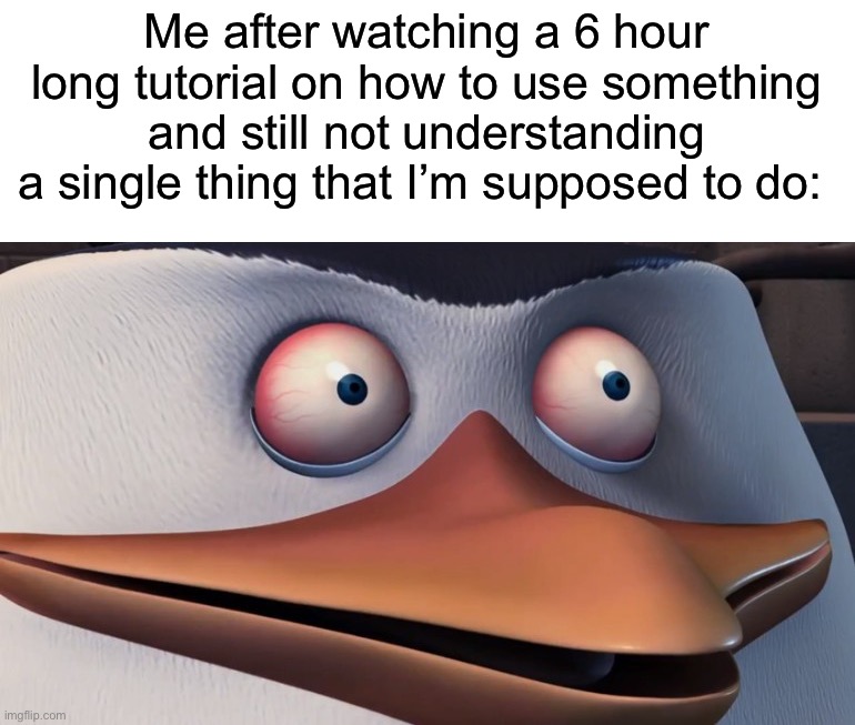 I have to go back 251721548 times just to understand it |  Me after watching a 6 hour long tutorial on how to use something and still not understanding a single thing that I’m supposed to do: | image tagged in penguins of madagascar skipper red eyes,memes,funny,true story,relatable memes,tutorial | made w/ Imgflip meme maker