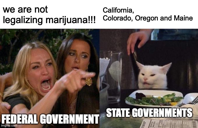 Woman Yelling At Cat | we are not legalizing marijuana!!! California, Colorado, Oregon and Maine; STATE GOVERNMENTS; FEDERAL GOVERNMENT | image tagged in memes,woman yelling at cat | made w/ Imgflip meme maker