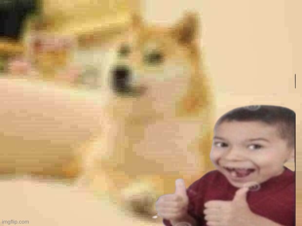 kids quality | image tagged in doge | made w/ Imgflip meme maker