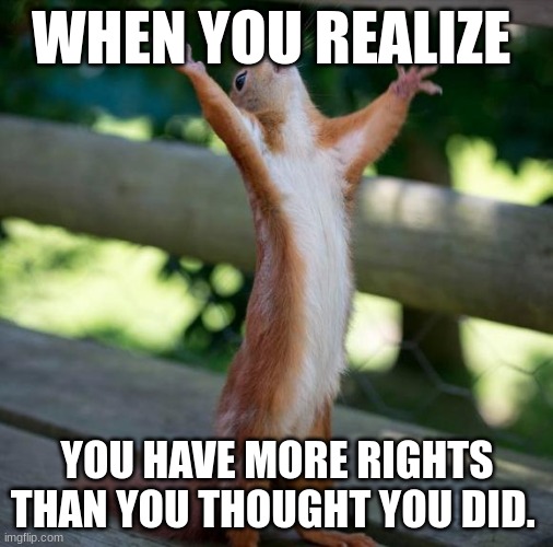 I HAVE RRIIGGHHTTSS | WHEN YOU REALIZE; YOU HAVE MORE RIGHTS THAN YOU THOUGHT YOU DID. | image tagged in finally,rights,happy | made w/ Imgflip meme maker