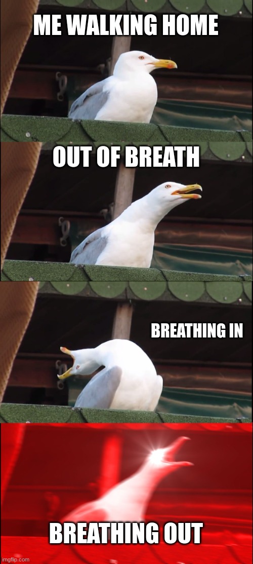 Inhaling Seagull | ME WALKING HOME; OUT OF BREATH; BREATHING IN; BREATHING OUT | image tagged in memes,inhaling seagull | made w/ Imgflip meme maker