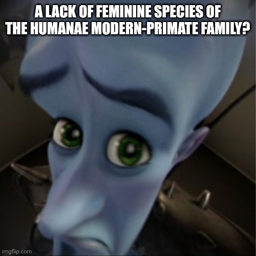Megamind peeking | A LACK OF FEMININE SPECIES OF THE HUMANAE MODERN-PRIMATE FAMILY? | image tagged in megamind peeking | made w/ Imgflip meme maker