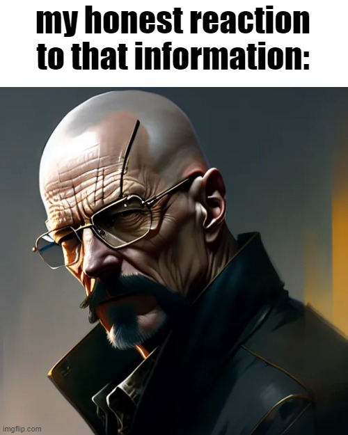 Epic Walter | my honest reaction to that information: | image tagged in epic walter | made w/ Imgflip meme maker