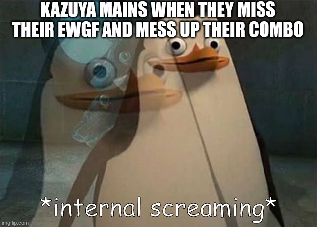 Private Internal Screaming | KAZUYA MAINS WHEN THEY MISS THEIR EWGF AND MESS UP THEIR COMBO | image tagged in private internal screaming | made w/ Imgflip meme maker