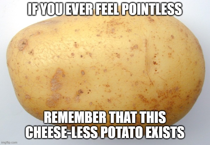 Eating Cheese-Less Potatos? IMMPOSSIBLE X__X | IF YOU EVER FEEL POINTLESS; REMEMBER THAT THIS CHEESE-LESS POTATO EXISTS | image tagged in potato | made w/ Imgflip meme maker