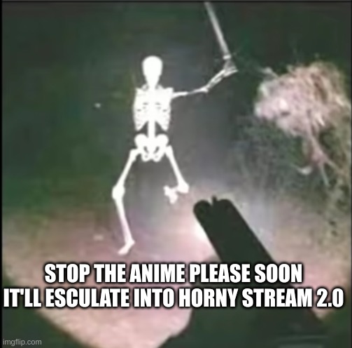 I know it... | STOP THE ANIME PLEASE SOON IT'LL ESCULATE INTO HORNY STREAM 2.0 | image tagged in skeleton attack | made w/ Imgflip meme maker
