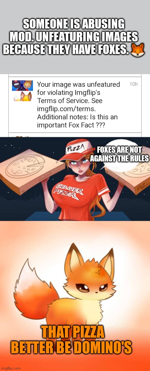 Stop abusing mod | SOMEONE IS ABUSING MOD. UNFEATURING IMAGES BECAUSE THEY HAVE FOXES. 🦊; FOXES ARE NOT AGAINST THE RULES; THAT PIZZA BETTER BE DOMINO'S | image tagged in foxes | made w/ Imgflip meme maker