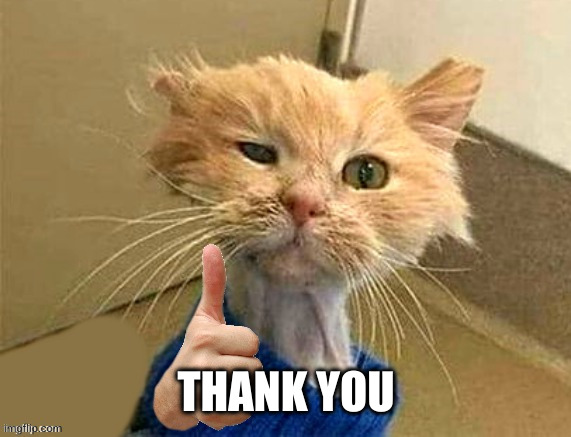 thumb cat | THANK YOU | image tagged in thumb cat | made w/ Imgflip meme maker