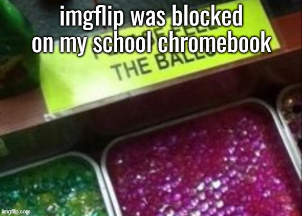 PLEASE FEEL THE BALLS | imgflip was blocked on my school chromebook | image tagged in please feel the balls | made w/ Imgflip meme maker