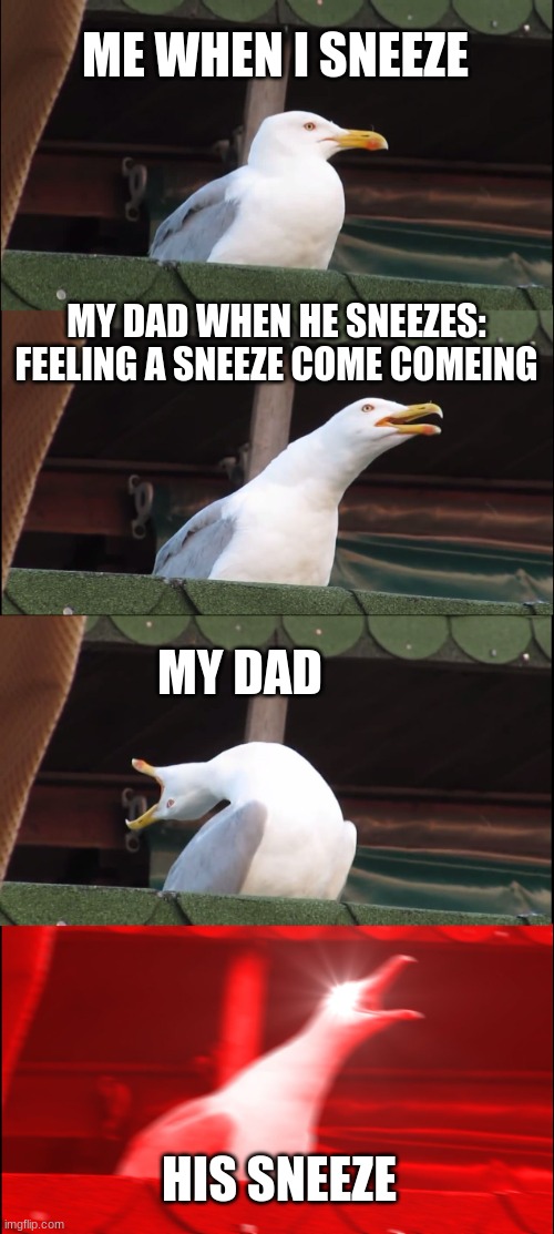 Inhaling Seagull Meme | ME WHEN I SNEEZE; MY DAD WHEN HE SNEEZES: FEELING A SNEEZE COME COMEING; MY DAD; HIS SNEEZE | image tagged in memes,inhaling seagull | made w/ Imgflip meme maker