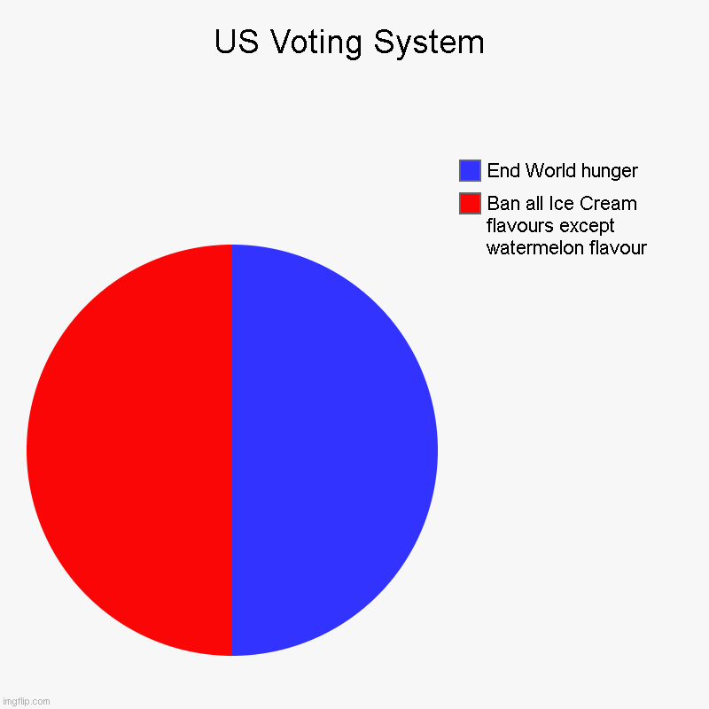 U.S Voting system | US Voting System | Ban all Ice Cream flavours except watermelon flavour, End World hunger | image tagged in charts,pie charts | made w/ Imgflip chart maker