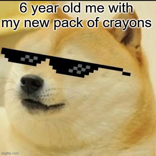 Sunglass Doge | 6 year old me with my new pack of crayons | image tagged in sunglass doge | made w/ Imgflip meme maker