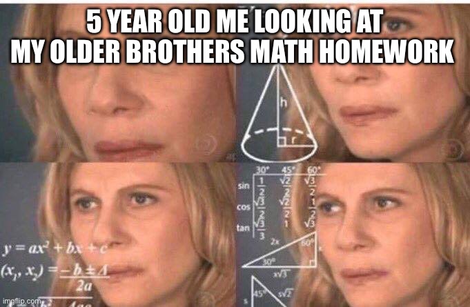 Math lady/Confused lady | 5 YEAR OLD ME LOOKING AT MY OLDER BROTHERS MATH HOMEWORK | image tagged in math lady/confused lady | made w/ Imgflip meme maker