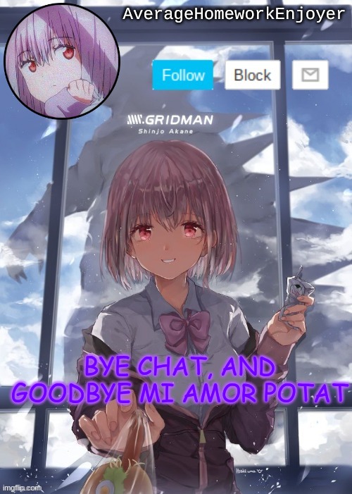 peace | BYE CHAT, AND GOODBYE MI AMOR POTAT | image tagged in homework enjoyers temp | made w/ Imgflip meme maker