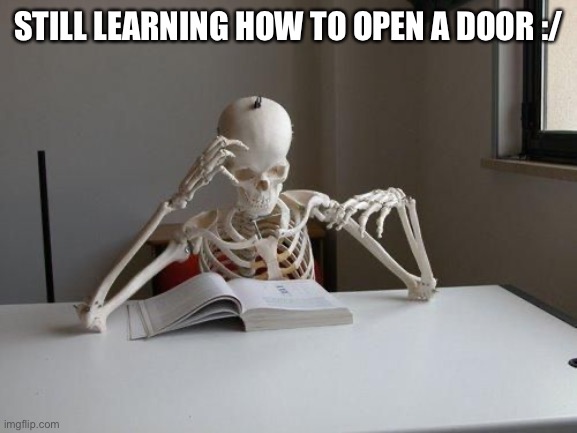 door | STILL LEARNING HOW TO OPEN A DOOR :/ | image tagged in death by studying,fun,fresh memes | made w/ Imgflip meme maker