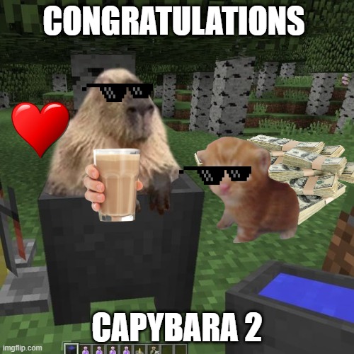 Congrats | CONGRATULATIONS; CAPYBARA 2 | image tagged in capybara,congrats | made w/ Imgflip meme maker