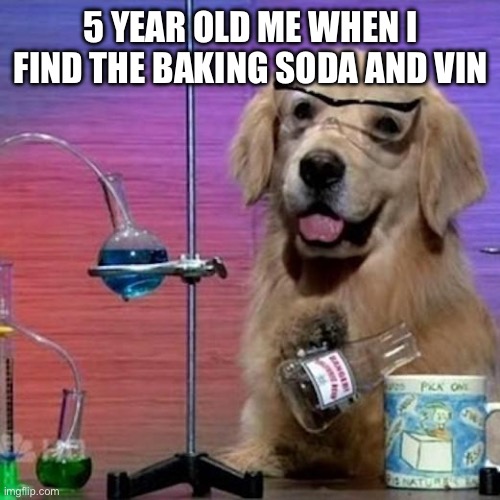 I Have No Idea What I Am Doing Dog | 5 YEAR OLD ME WHEN I FIND THE BAKING SODA AND VINEGAR | image tagged in memes,i have no idea what i am doing dog | made w/ Imgflip meme maker