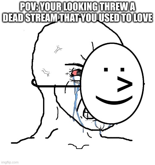 hide the tears ;-; | POV: YOUR LOOKING THREW A DEAD STREAM THAT YOU USED TO LOVE | image tagged in pretending to be happy hiding crying behind a mask | made w/ Imgflip meme maker
