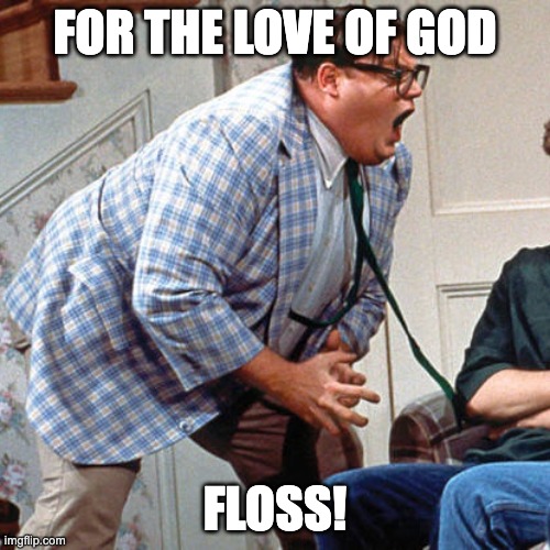 for the love of god floss | FOR THE LOVE OF GOD; FLOSS! | image tagged in chris farley for the love of god | made w/ Imgflip meme maker