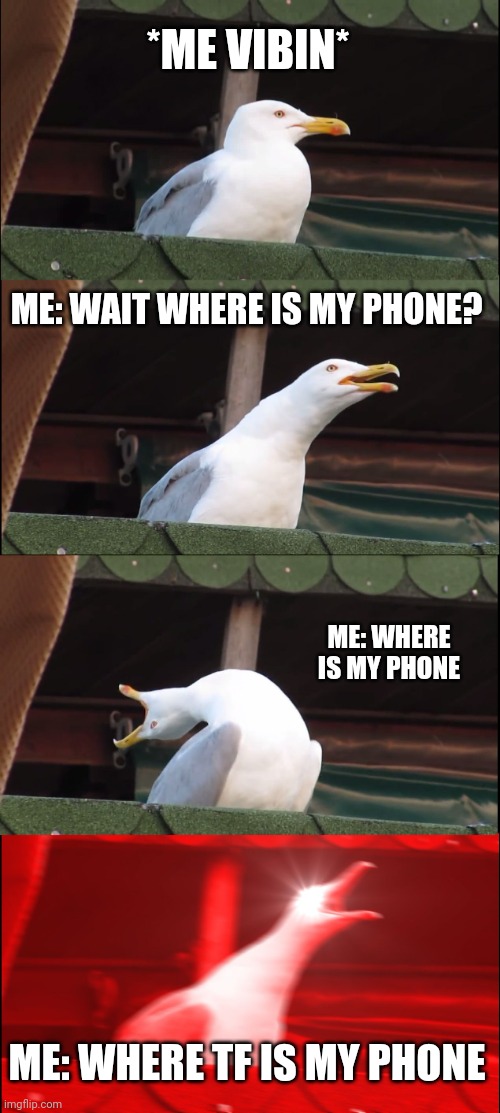 Inhaling Seagull Meme | *ME VIBIN*; ME: WAIT WHERE IS MY PHONE? ME: WHERE IS MY PHONE; ME: WHERE TF IS MY PHONE | image tagged in memes,inhaling seagull | made w/ Imgflip meme maker