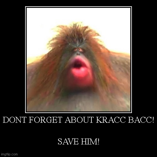 WE NEED TO SAVE KRACC BACC! | image tagged in funny,demotivationals | made w/ Imgflip demotivational maker