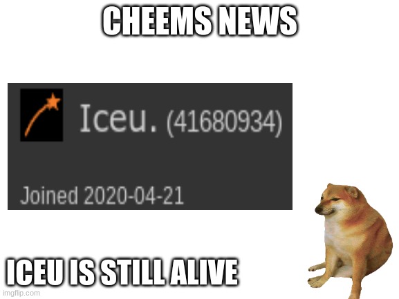 Blank White Template | CHEEMS NEWS; ICEU IS STILL ALIVE | image tagged in blank white template | made w/ Imgflip meme maker