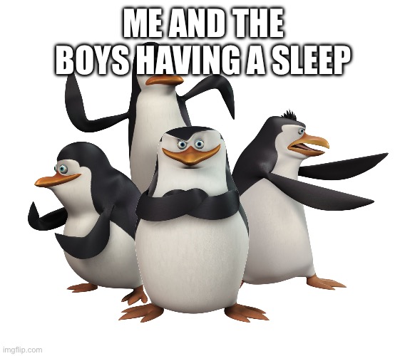 Madagascar penguins | ME AND THE BOYS HAVING A SLEEPOVER | image tagged in madagascar penguins | made w/ Imgflip meme maker