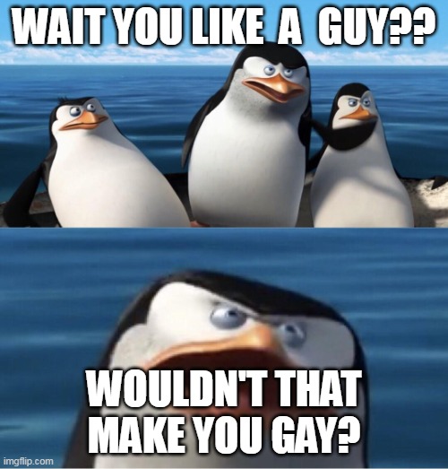 wait... | WAIT YOU LIKE  A  GUY?? WOULDN'T THAT MAKE YOU GAY? | image tagged in wouldn't that make you | made w/ Imgflip meme maker