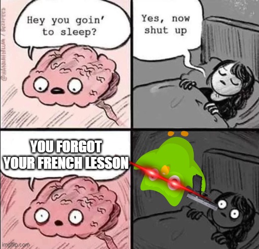 waking up brain | YOU FORGOT YOUR FRENCH LESSON | image tagged in waking up brain | made w/ Imgflip meme maker