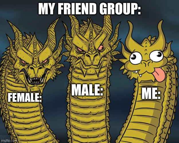 My Friend group | MY FRIEND GROUP:; MALE:; ME:; FEMALE: | image tagged in three-headed dragon | made w/ Imgflip meme maker