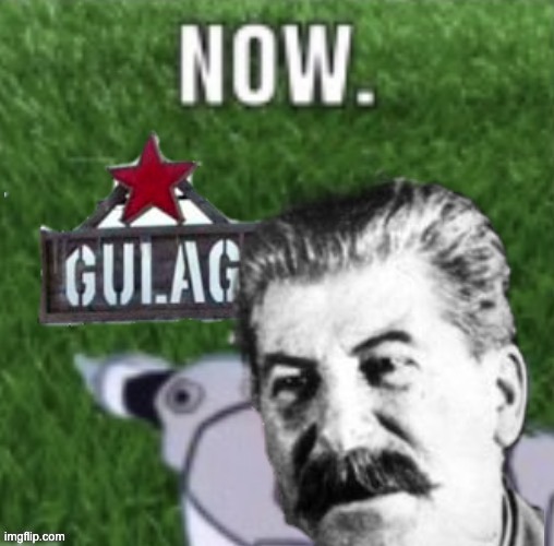 GO TO THE GULAG NOW! | image tagged in stalin,joseph stalin,gulag,now,memes,soviet union | made w/ Imgflip meme maker