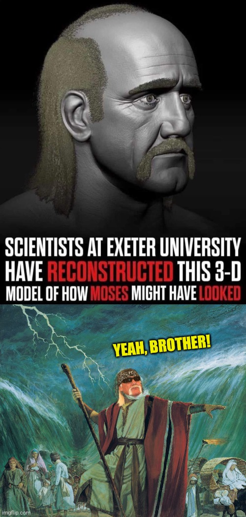 Mosesmania | YEAH, BROTHER! | image tagged in hulk hogan,moses,scientists,reconstruction,yeah brother | made w/ Imgflip meme maker