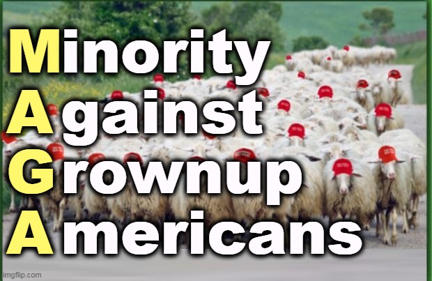 M
A
G
A; inority
gainst
rownup
mericans | image tagged in maga,right wing,minority,hate,grownups | made w/ Imgflip meme maker