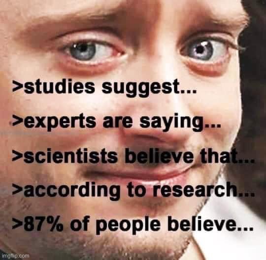 Do you really believe any of that? | image tagged in elijah wood studies suggest | made w/ Imgflip meme maker