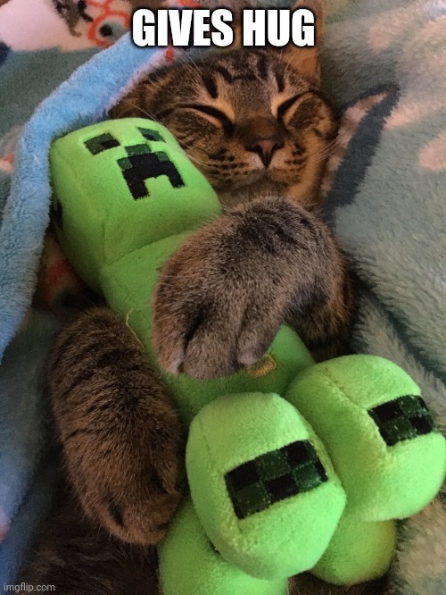 Cat hugging creeper | GIVES HUG | image tagged in cat hugging creeper | made w/ Imgflip meme maker