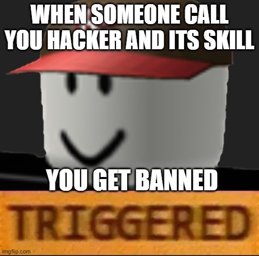 Roblox Triggered | WHEN SOMEONE CALL YOU HACKER AND ITS SKILL; YOU GET BANNED | image tagged in roblox triggered,GoCommitDie | made w/ Imgflip meme maker