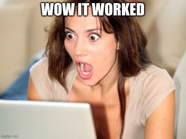 shocked face girl | WOW IT WORKED | image tagged in shocked face girl | made w/ Imgflip meme maker