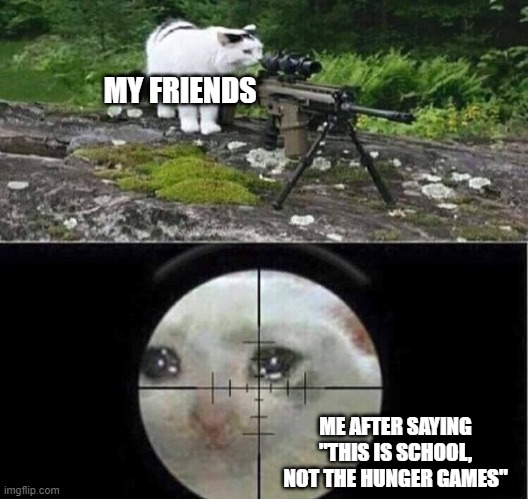 THIS IS SCHOOL. NOT THE HUNGER GAMES. | MY FRIENDS; ME AFTER SAYING "THIS IS SCHOOL, NOT THE HUNGER GAMES" | image tagged in sniper cat | made w/ Imgflip meme maker