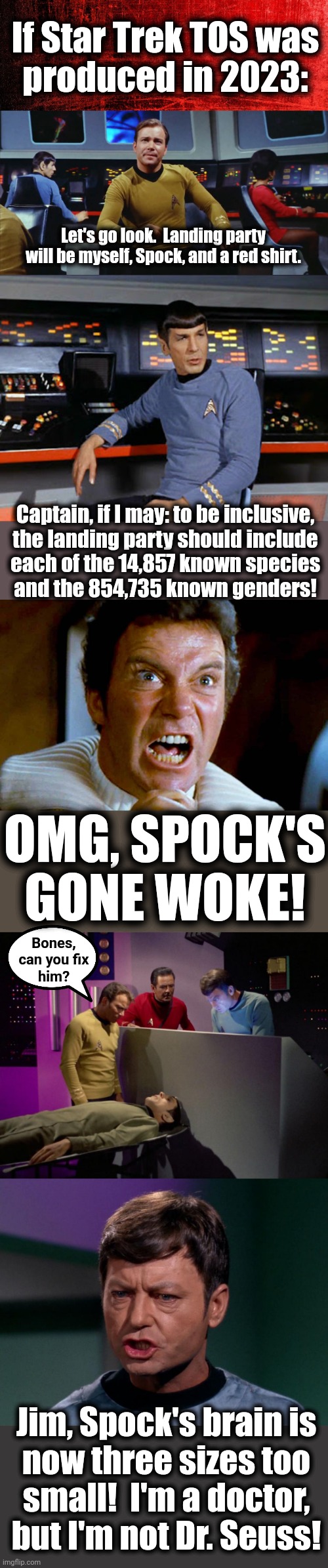 Spock goes woke | If Star Trek TOS was
produced in 2023:; Let's go look.  Landing party will be myself, Spock, and a red shirt. Captain, if I may: to be inclusive,
the landing party should include
each of the 14,857 known species
and the 854,735 known genders! OMG, SPOCK'S GONE WOKE! Bones,
can you fix
him? Jim, Spock's brain is
now three sizes too
small!  I'm a doctor, but I'm not Dr. Seuss! | image tagged in memes,star trek,spock,woke,spock's brain,doctor seuss | made w/ Imgflip meme maker