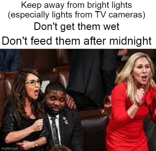 Marjorie Taylor Greene Lauren Boebert Gremlins | Keep away from bright lights (especially lights from TV cameras); Don't get them wet; Don't feed them after midnight | image tagged in marjorie taylor greene,lauren boebert,gremlins | made w/ Imgflip meme maker