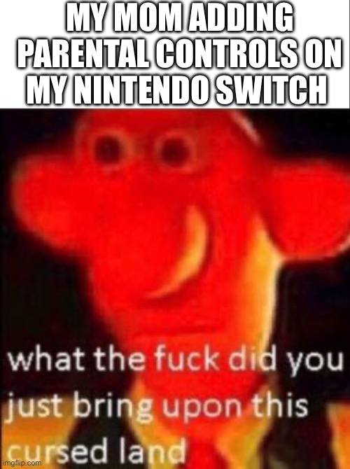 My mother is stu- | MY MOM ADDING PARENTAL CONTROLS ON MY NINTENDO SWITCH | image tagged in what the fuck did you just bring upon this cursed land,switch,nintendo,nintendo switch parental controls | made w/ Imgflip meme maker