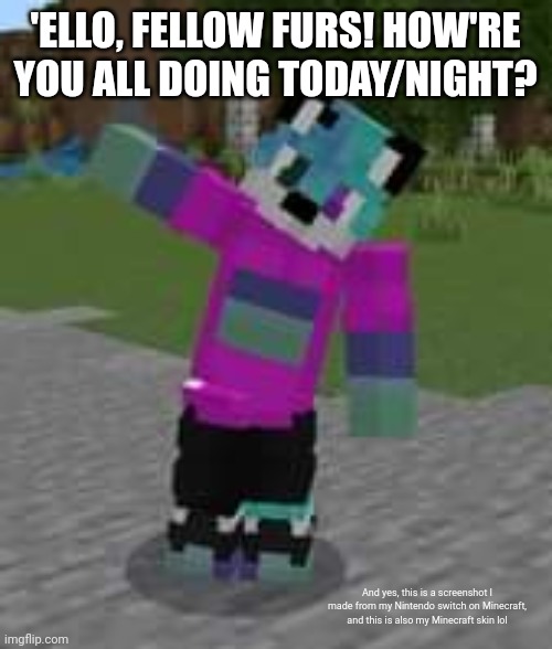 'ELLO, FELLOW FURS! HOW'RE YOU ALL DOING TODAY/NIGHT? And yes, this is a screenshot I made from my Nintendo switch on Minecraft, and this is also my Minecraft skin lol | image tagged in furry,minecraft,nintendo switch | made w/ Imgflip meme maker