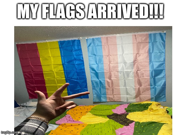 ✨flags✨ | MY FLAGS ARRIVED!!! | image tagged in transgender | made w/ Imgflip meme maker
