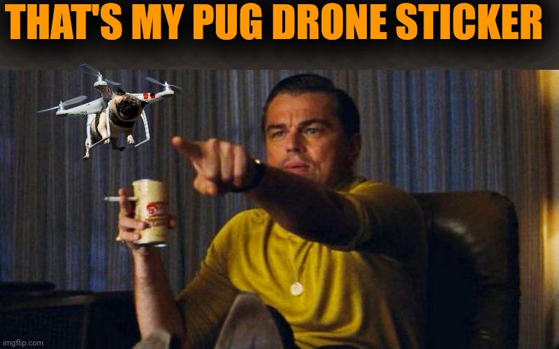 Leo pointing | THAT'S MY PUG DRONE STICKER | image tagged in leo pointing | made w/ Imgflip meme maker