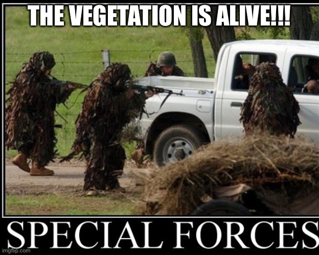 They are coming for you |  THE VEGETATION IS ALIVE!!! | image tagged in vegetation is alive | made w/ Imgflip meme maker