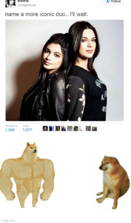 Doge + Cheems = More iconic | image tagged in name a more iconic duo | made w/ Imgflip meme maker