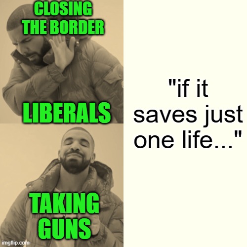 Drake Hotline Bling Meme | "if it saves just one life..." CLOSING THE BORDER TAKING GUNS LIBERALS | image tagged in memes,drake hotline bling | made w/ Imgflip meme maker
