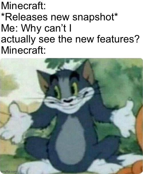 It do be true tho | Minecraft: *Releases new snapshot*
Me: Why can’t I actually see the new features?
Minecraft: | image tagged in tom shrugging,minecraft,bugs | made w/ Imgflip meme maker