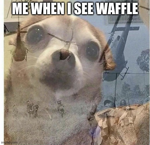I'M DISABLING COMMENTS HAHAHA I like pancakes (The Waffle House has found its new host) | ME WHEN I SEE WAFFLE | image tagged in ptsd chihuahua | made w/ Imgflip meme maker
