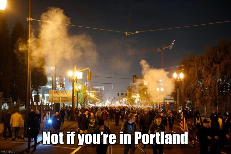 portland riot | Not if you’re in Portland | image tagged in portland riot | made w/ Imgflip meme maker